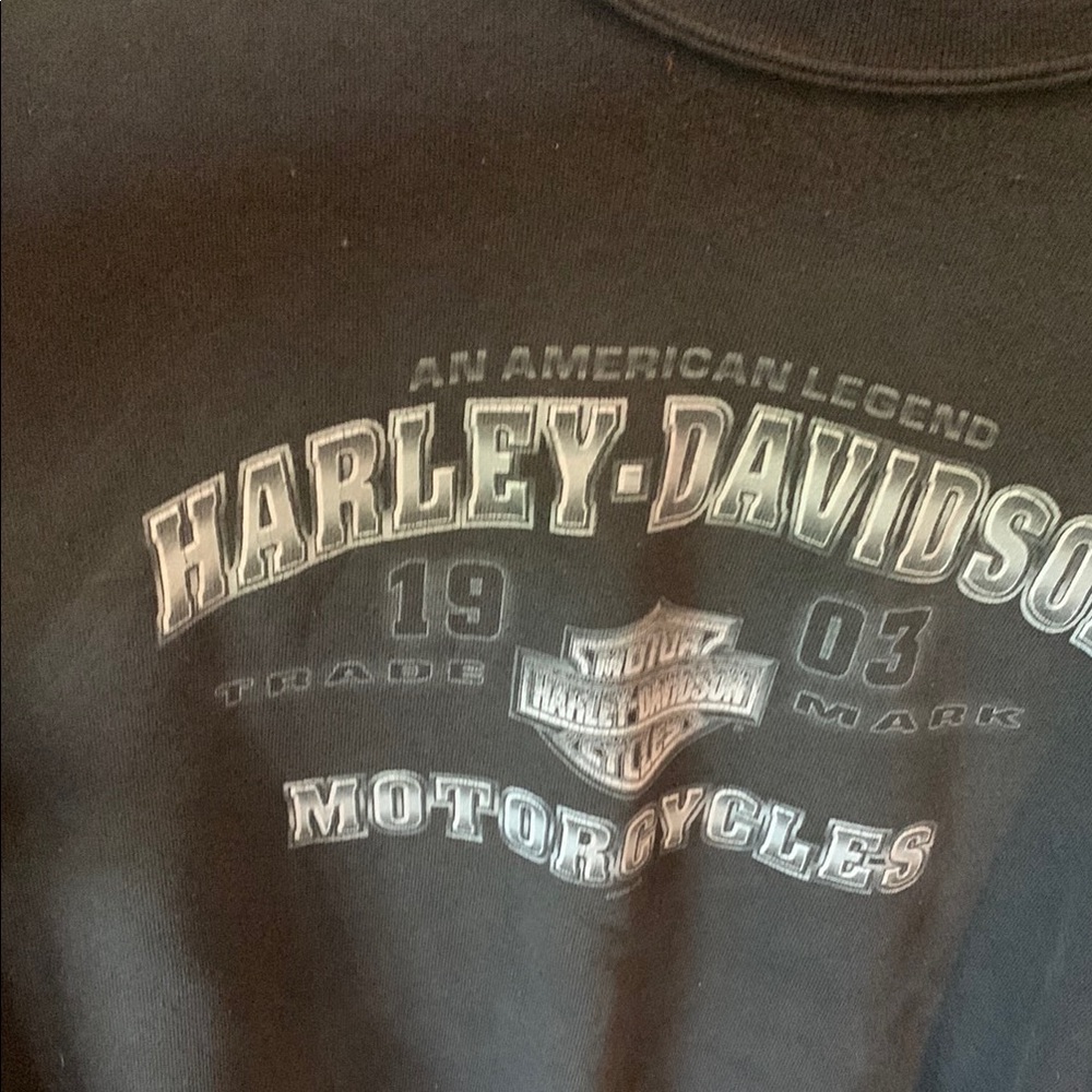 Harley-Davidson Gray Crewneck Sweater with Iconic Logo - Picture 4 of 4